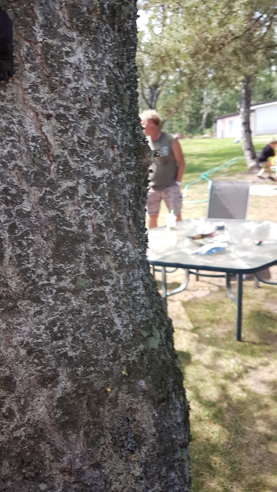 Willow Grove Family Campground | Main Street #401, Bashaw, AB T0B 0H0, Canada | Phone: (780) 372-2193
