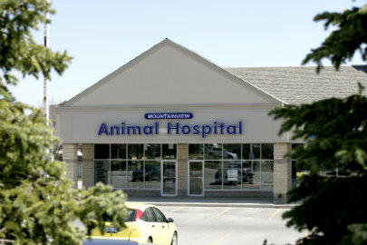 Mountainview Animal Hospital | 333 Mountainview Rd S #12, Georgetown, ON L7G 6E8, Canada | Phone: (905) 702-8822