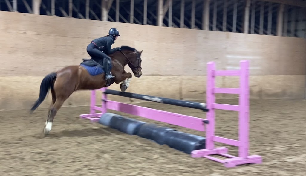 Sunrise Equestrian Centre | 612 Powerline Rd, Trenton, ON K8V 5P7, Canada | Phone: (613) 921-7856