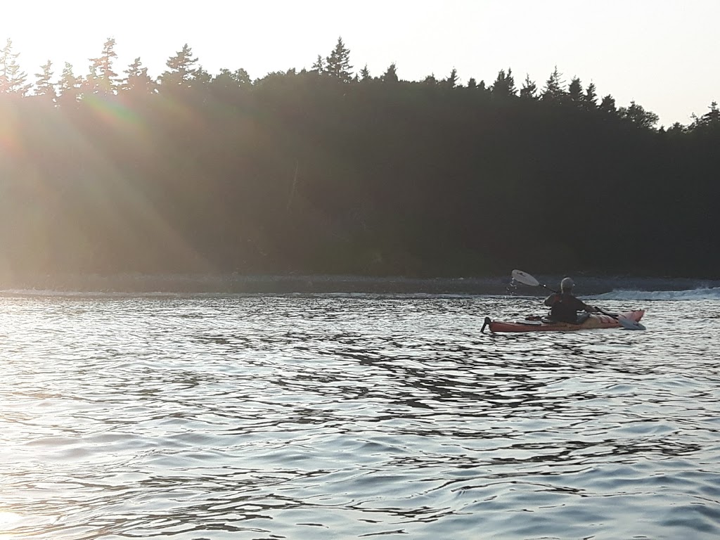 Kattuk Expeditions | 28 Government Wharf Rd, Eastern Passage, NS B3G 1M7, Canada | Phone: (902) 407-1377