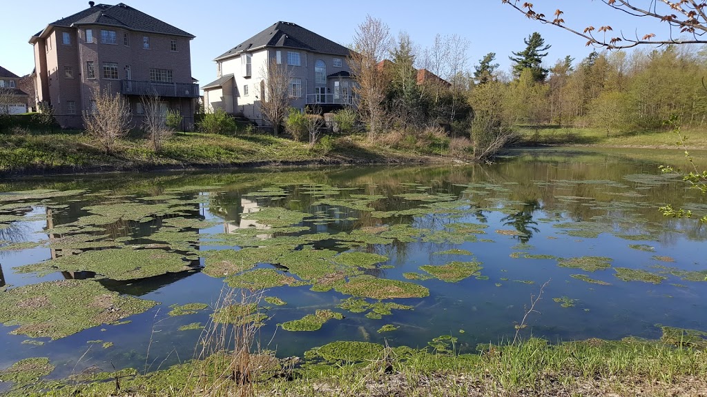 Calvert Park | 201 Macrill Rd, Markham, ON L6C 1X9, Canada