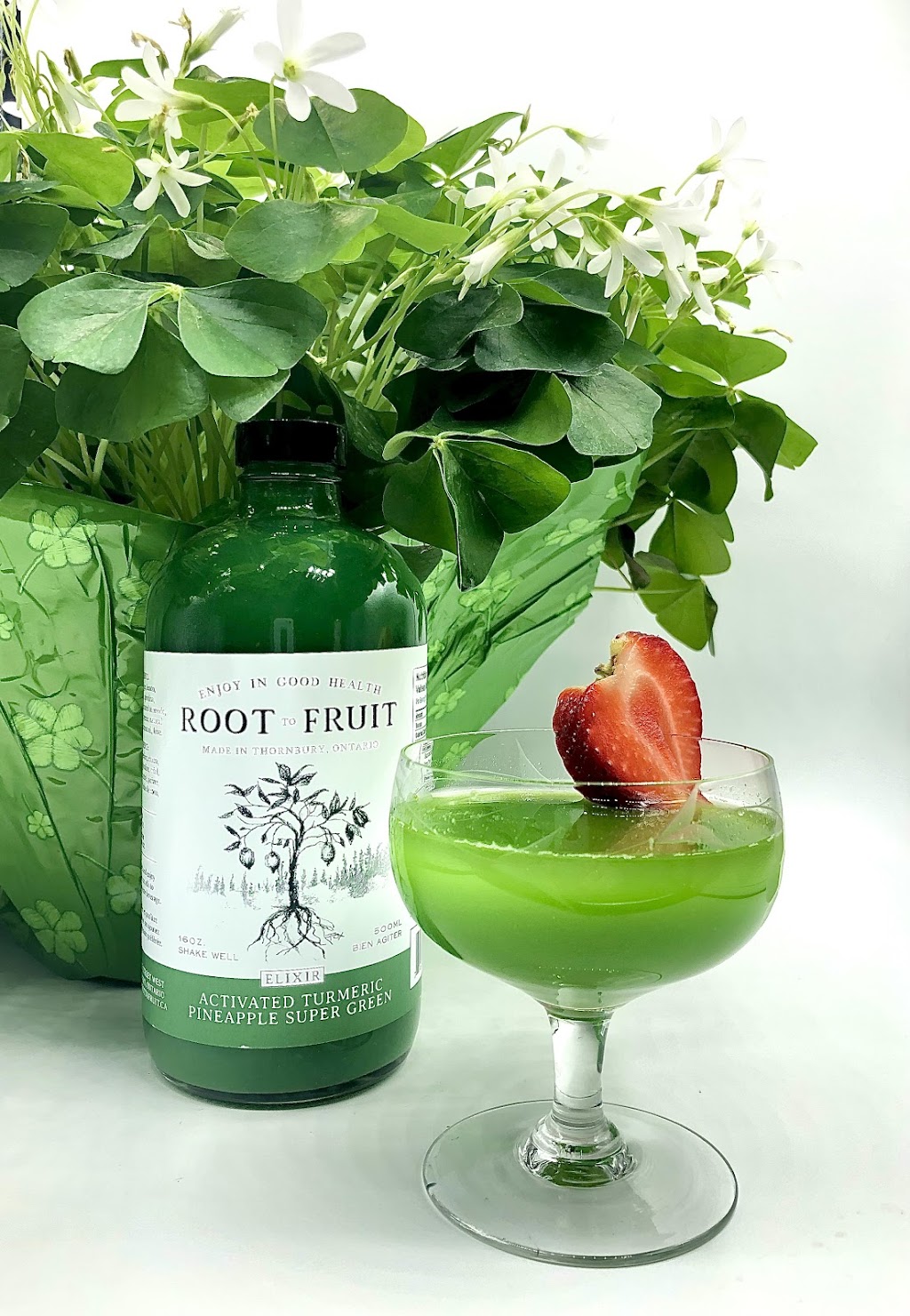 Root to Fruit | 15 Alice St W, Thornbury, ON N0H 2P0, Canada | Phone: (705) 607-9777