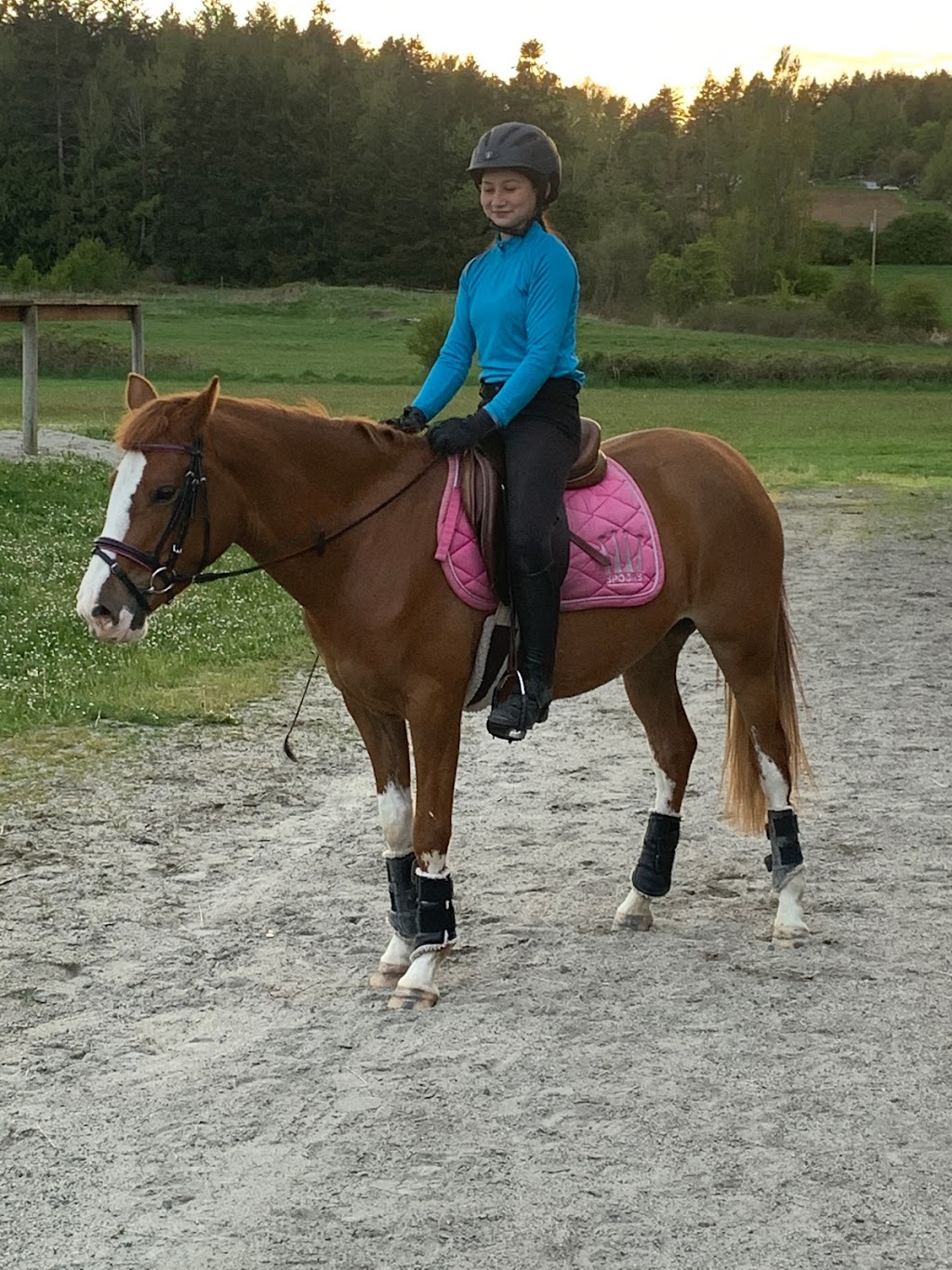 Eastgate Dressage Inc | 6404 Central Saanich Rd, Saanichton, BC V8M 1Z4, Canada | Phone: (250) 589-0415
