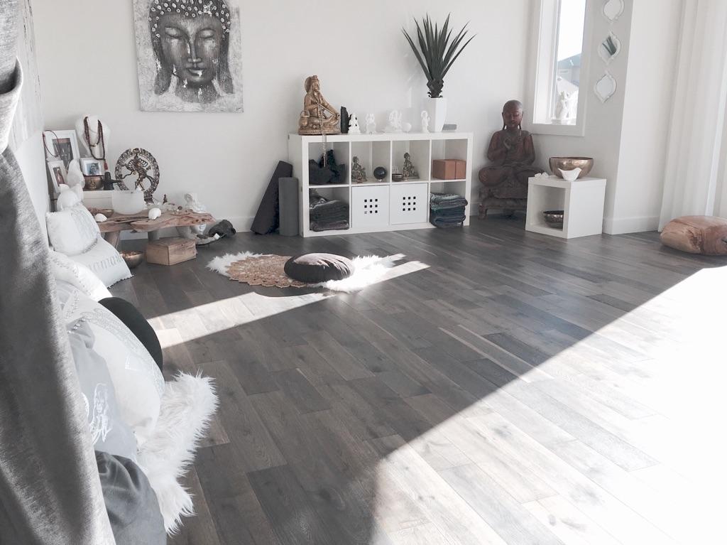 SVA Yoga | 1311 Hainstock Way SW, Edmonton, AB T6W 3B6, Canada | Phone: (780) 819-6859