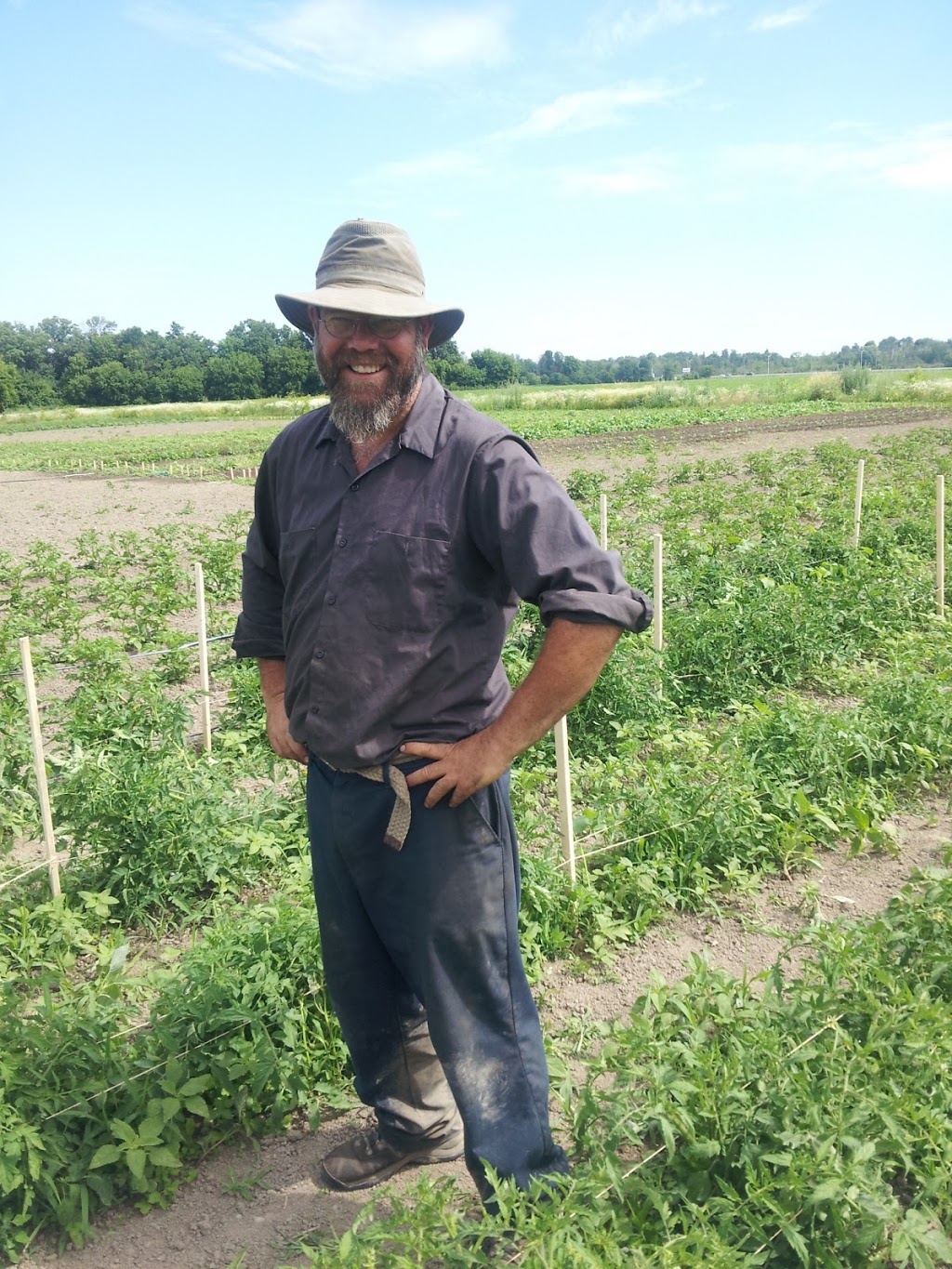 Mikes Garden Harvest | 436 River Rd, Gloucester, ON K1V 1E7, Canada | Phone: (613) 314-3104