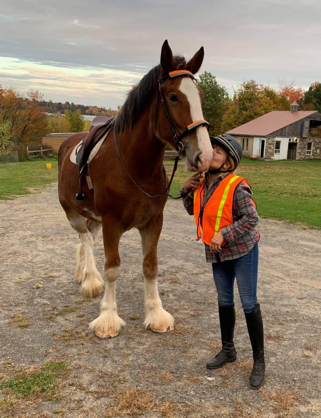 Animation Poney En Fête | #0, Saint-Jérôme, QC J5L 2K7, Canada | Phone: (450) 602-1283