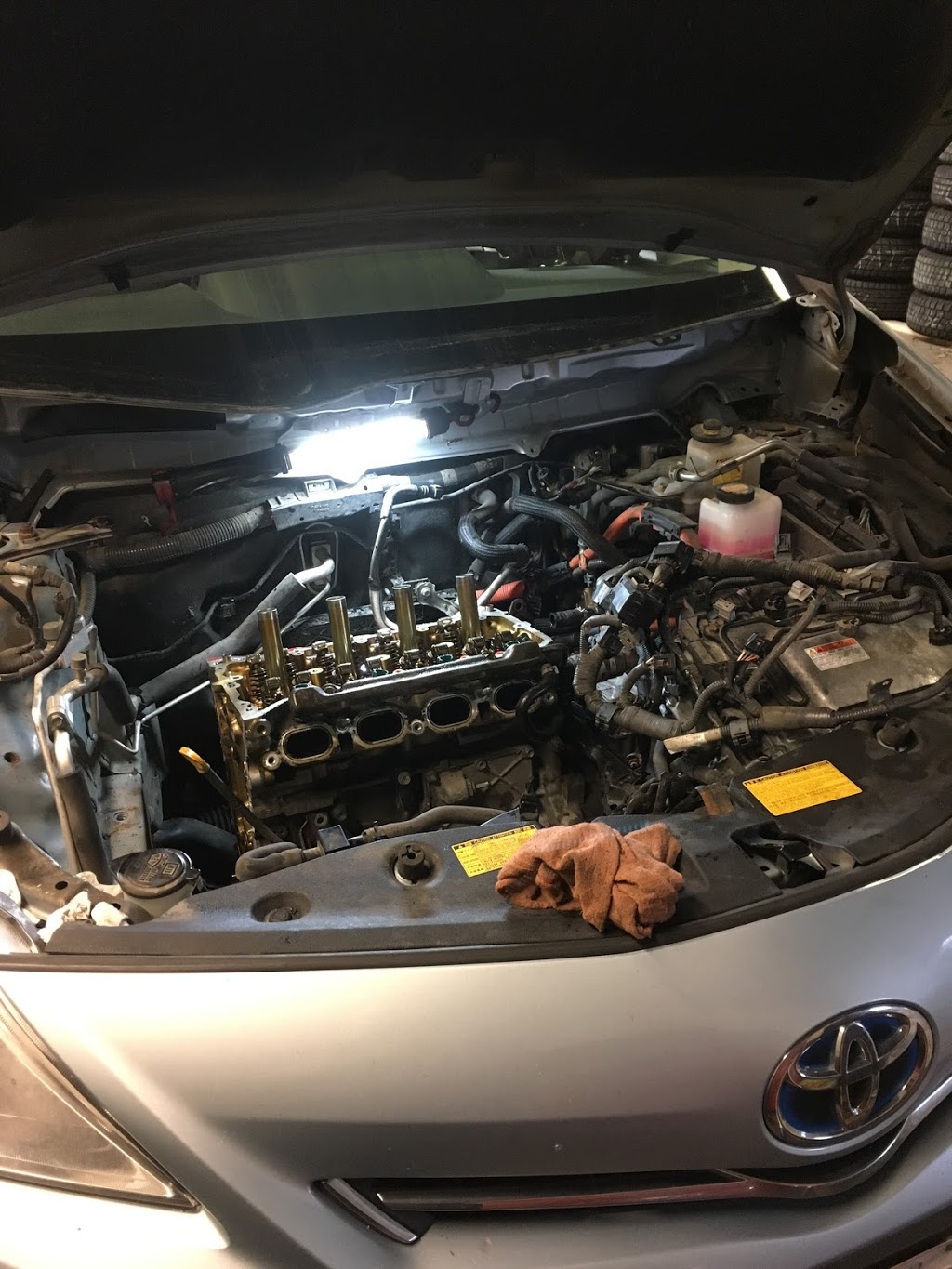 Black Bear Auto Co. | 330 Gage Ave, Kitchener, ON N2M 5C6, Canada | Phone: (519) 742-1262