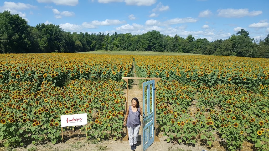 Rural Route Orchard | 10308 Fourth Line, Halton Hills, ON L9T 2X9, Canada | Phone: (905) 873-7687