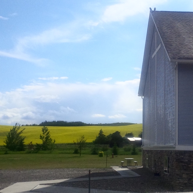 Trinity Mennonite Church | 32023 232 Avenue West, Foothills No. 31, AB T1S 4A9, Canada | Phone: (403) 256-7157
