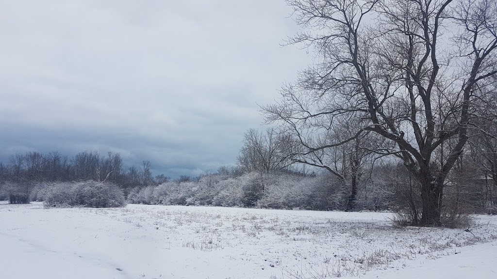 Bertie Centennial Park a.k.a. Ferndale Park | 865 Ferndale Ave, Fort Erie, ON L2A 5H2, Canada