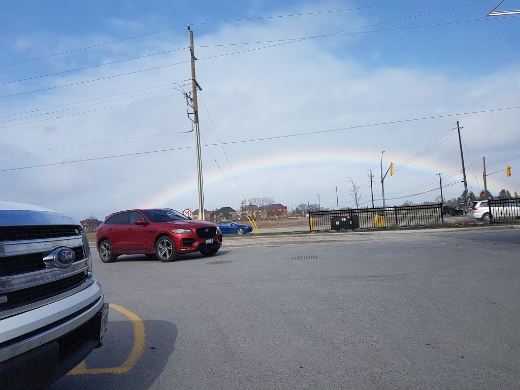 MacEwen Collingwood | 7618 Poplar Sideroad Unit 3, Collingwood, ON L9Y 0G5, Canada | Phone: (705) 445-6645