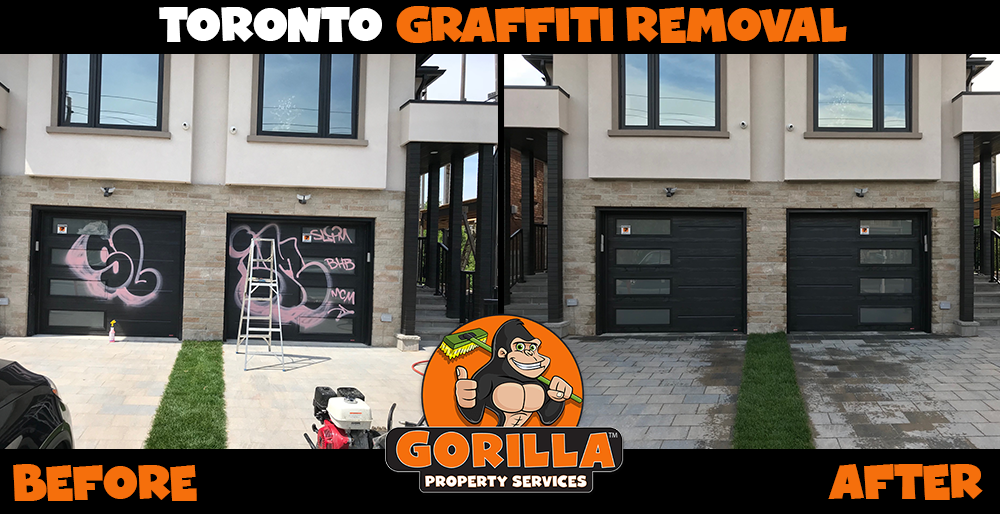 Gorilla Property Services | Jane Park Plaza Suite 98621, Toronto, ON M6N 5A6, Canada | Phone: (647) 559-9636