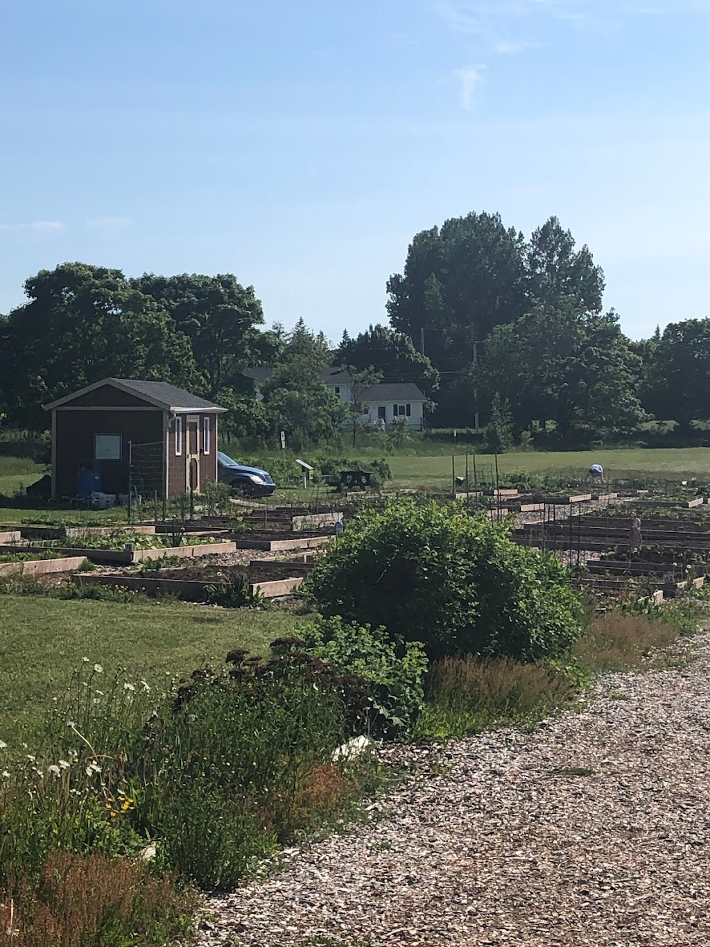 Stratford Community Gardens | 234 Shakespeare Dr, Stratford, PE C1B 1T8, Canada | Phone: (902) 367-3605