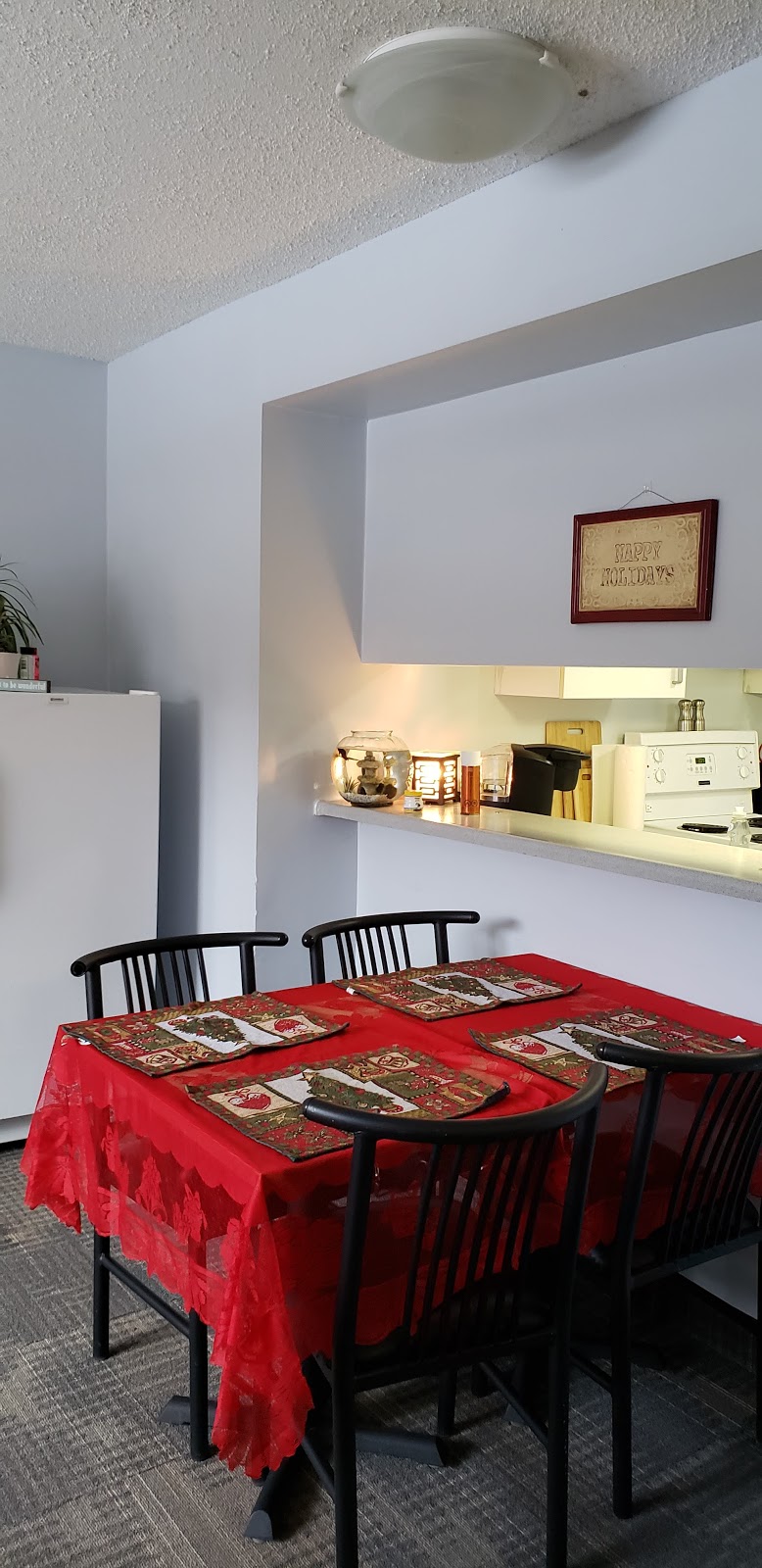 Severn Court Student Residence | 555 Wilfred Dr, Peterborough, ON K9K 1W1, Canada | Phone: (705) 740-0909