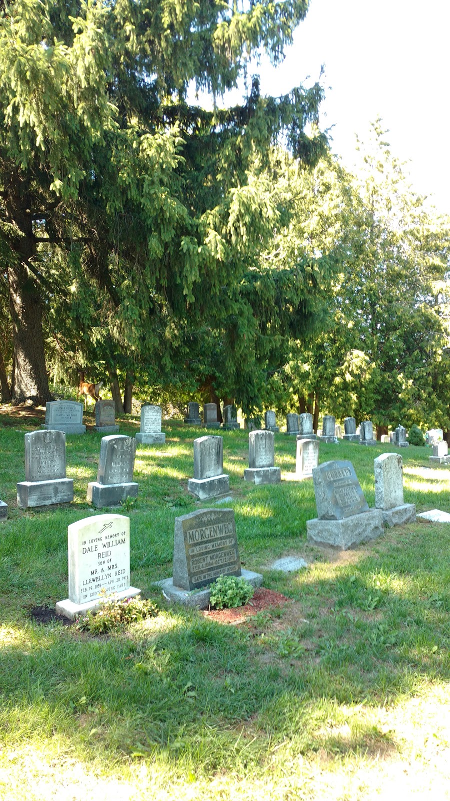 Mount View Cemetery | 80 Blenheim Rd, Cambridge, ON N1S 4H8, Canada | Phone: (519) 740-4681