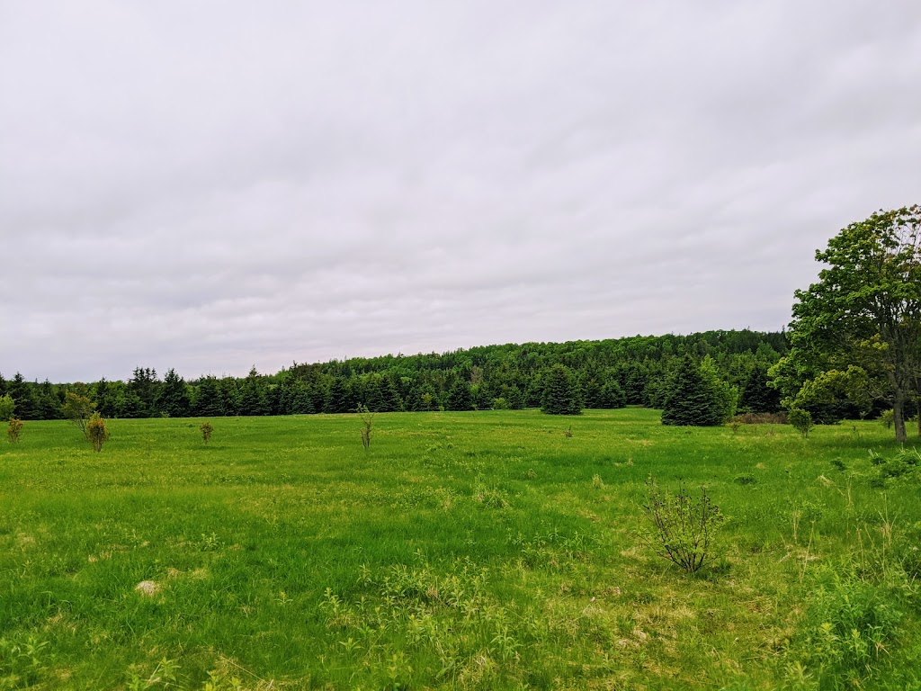 Skmaqn–Port-la-Joye–Fort Amherst National Historic Site | 191 Hache Gallant Dr, Rocky Point, PE C0A 1H2, Canada | Phone: (902) 675-2220