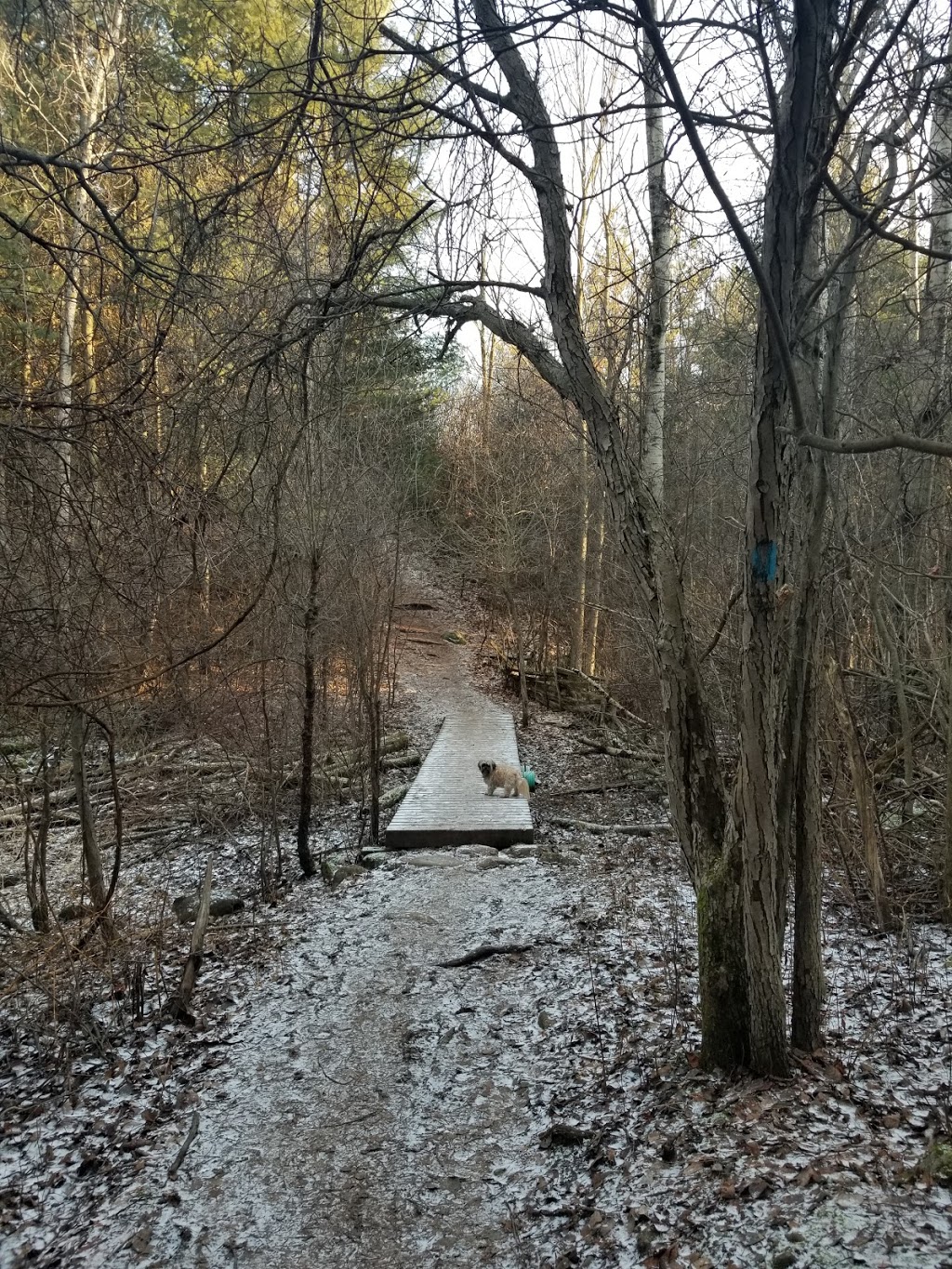 Starkey Hill Conservation Area | 735 Arkell Rd, Puslinch, ON N0B, Canada | Phone: (519) 824-5061