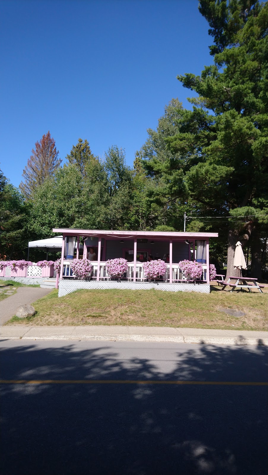 Casse-croûte du parc | 1319 Rue de la Sapinière, Val-David, QC J0T 2N0, Canada | Phone: (819) 322-1602
