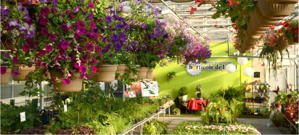 Centre De Formation Horticole De Laval | 1051 Croissant Pierre Bédard, Laval, QC H7E 1Y8, Canada | Phone: (450) 662-7000 ext. 2200