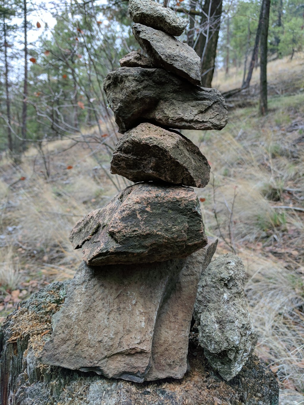 Cross Glen Park | 207 Biggar Rd, Kelowna, BC V1V 1W5, Canada | Phone: (250) 717-2757