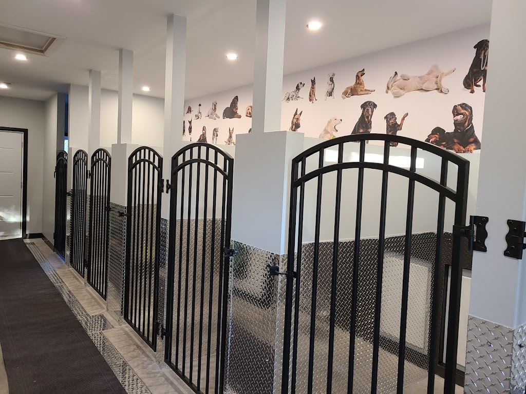 Pension canine chez Clyde et Dumbo | 382Boulevard du Royaume, Larouche, QC G0W 1Z0, Canada | Phone: (418) 290-3865