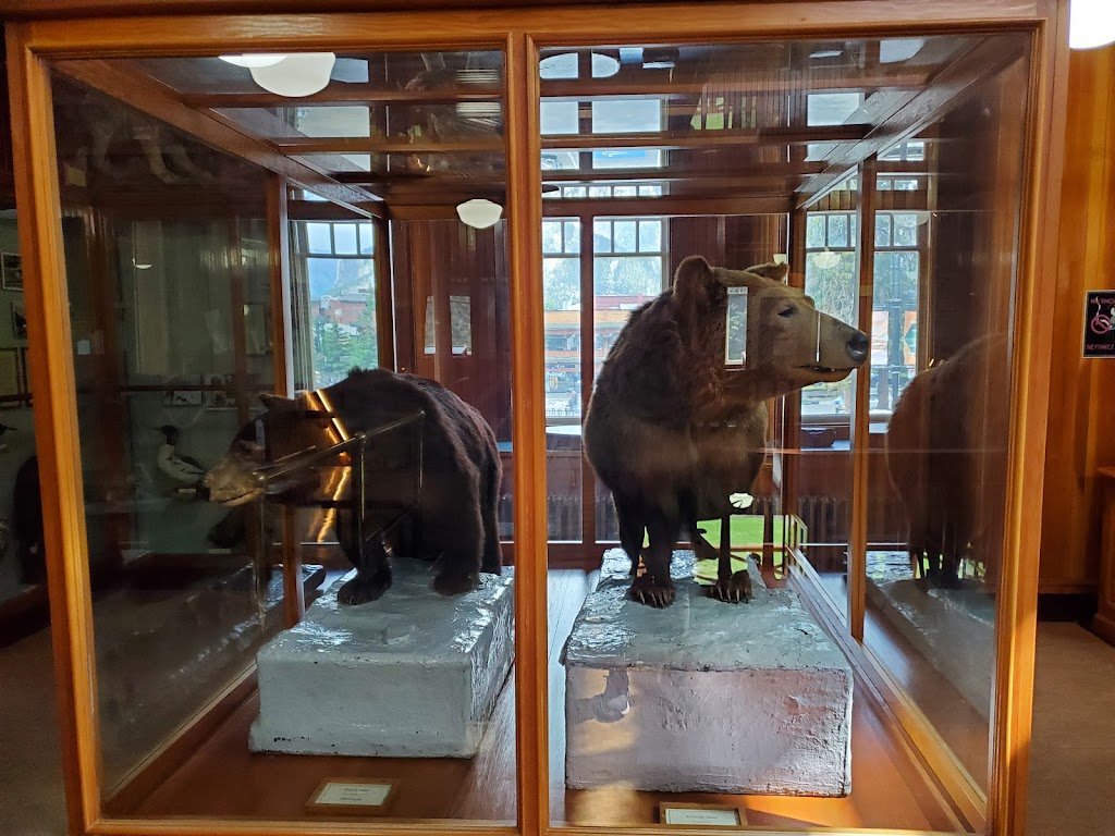 Banff Park Museum National Historic Site | 91 Banff Ave, Banff, AB T1L 1K2, Canada | Phone: (403) 762-1558