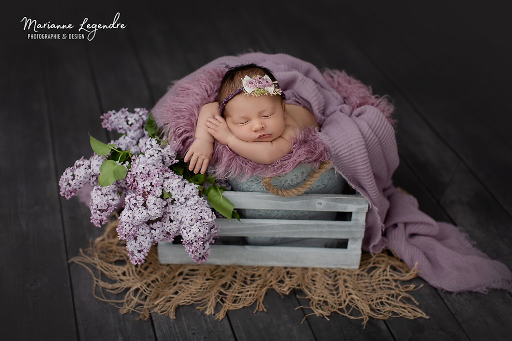 Marianne Legendre Designer Graphique-Photographe | 2046 Chemin St Edmond, Stoneham-et-Tewkesbury, QC G3C 1G9, Canada | Phone: (418) 204-7172