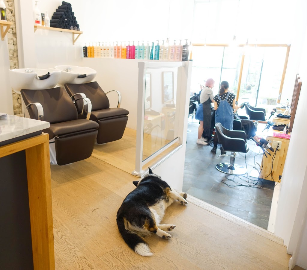 The Loft Urban Salon Dundas | 1575 Dundas St W, Toronto, ON M6K 1T9, Canada | Phone: (416) 535-0202