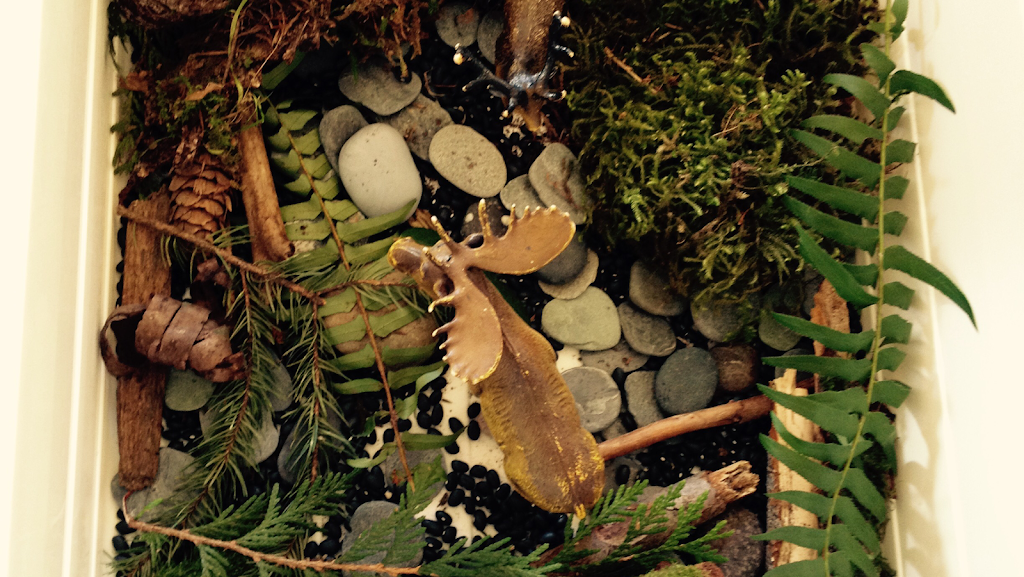 Caterpillar Montessori Daycare | 599 Chapman Ave, Coquitlam, BC V3J 4A2, Canada | Phone: (604) 936-0718