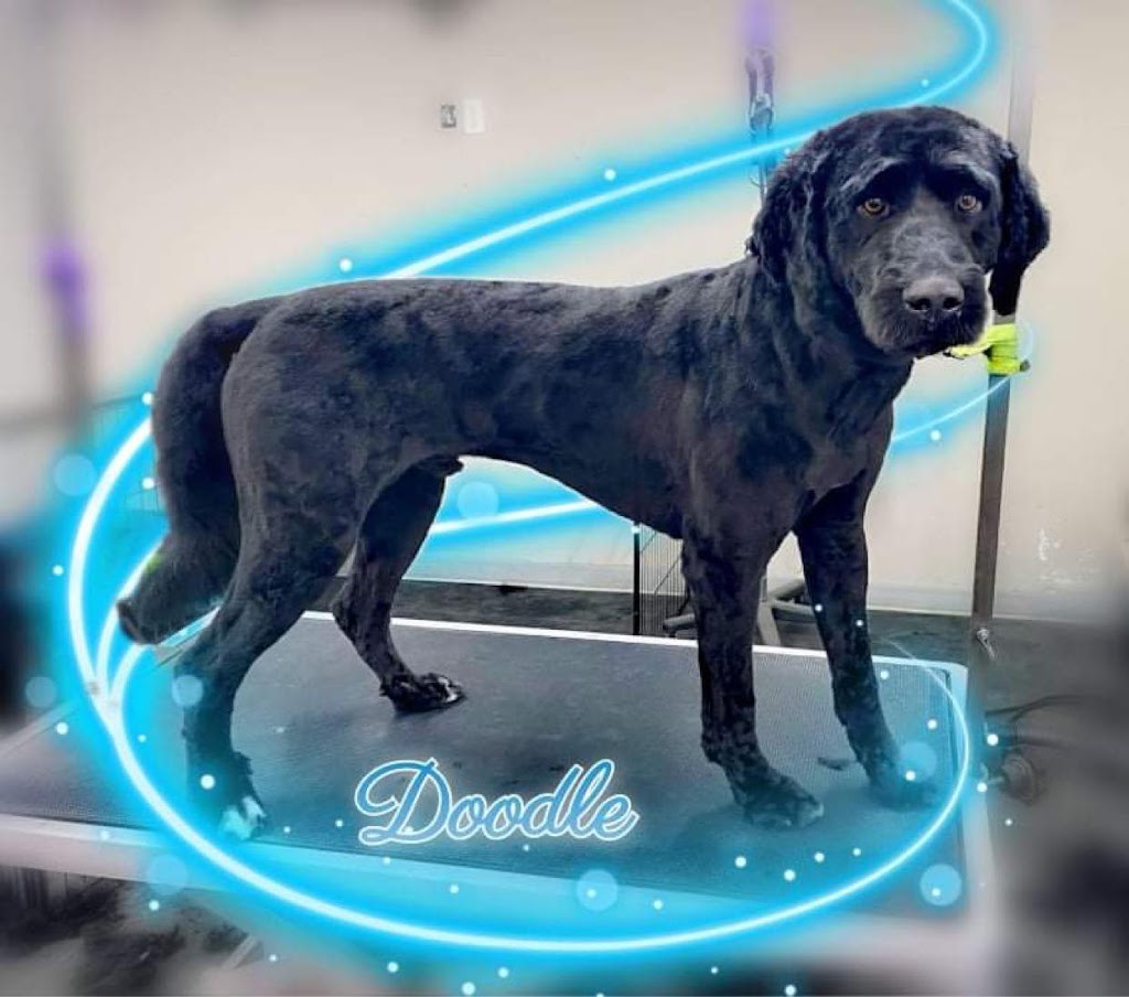 S7 Canine Services | 140 5th Ave SE, Three Hills, AB T0M 2A0, Canada | Phone: (403) 826-1311