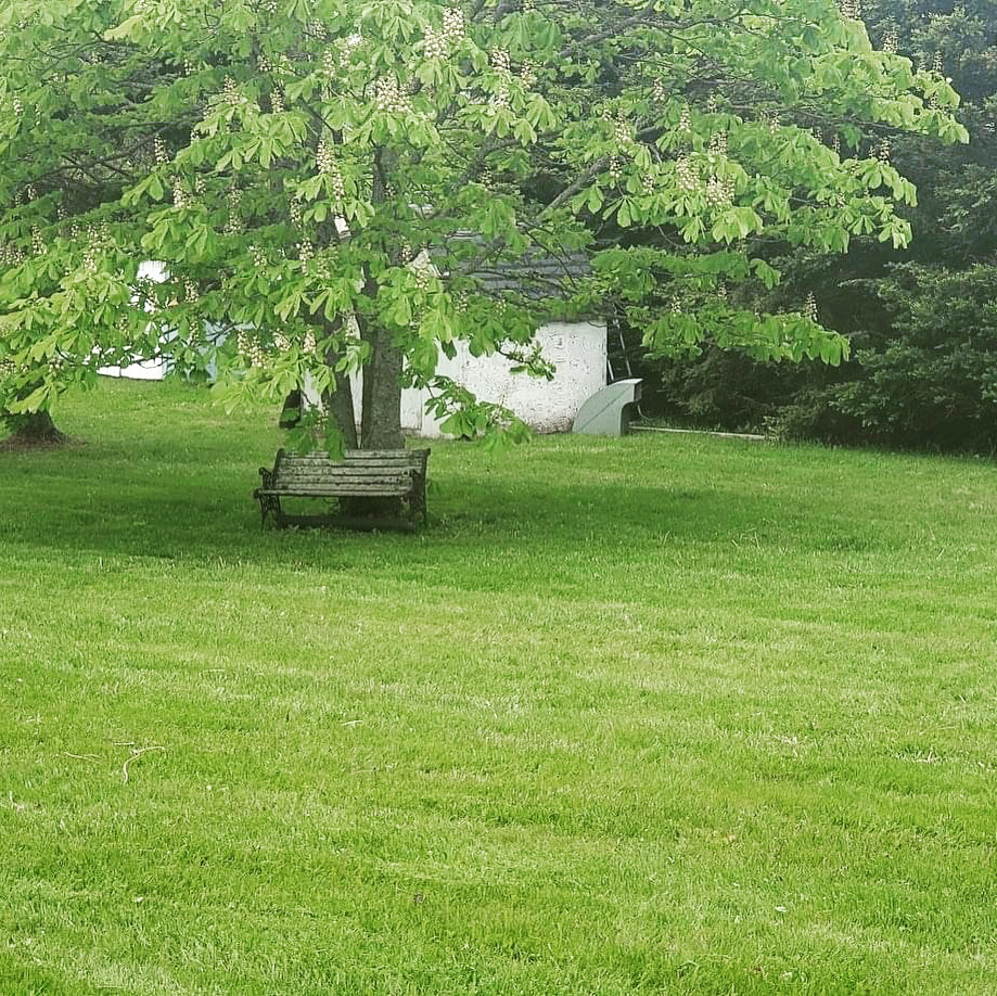 Subscribed Lawncare | 2787 Horne Cross Rd W, Charlottetown, PE C1E 2R8, Canada | Phone: (902) 330-5296