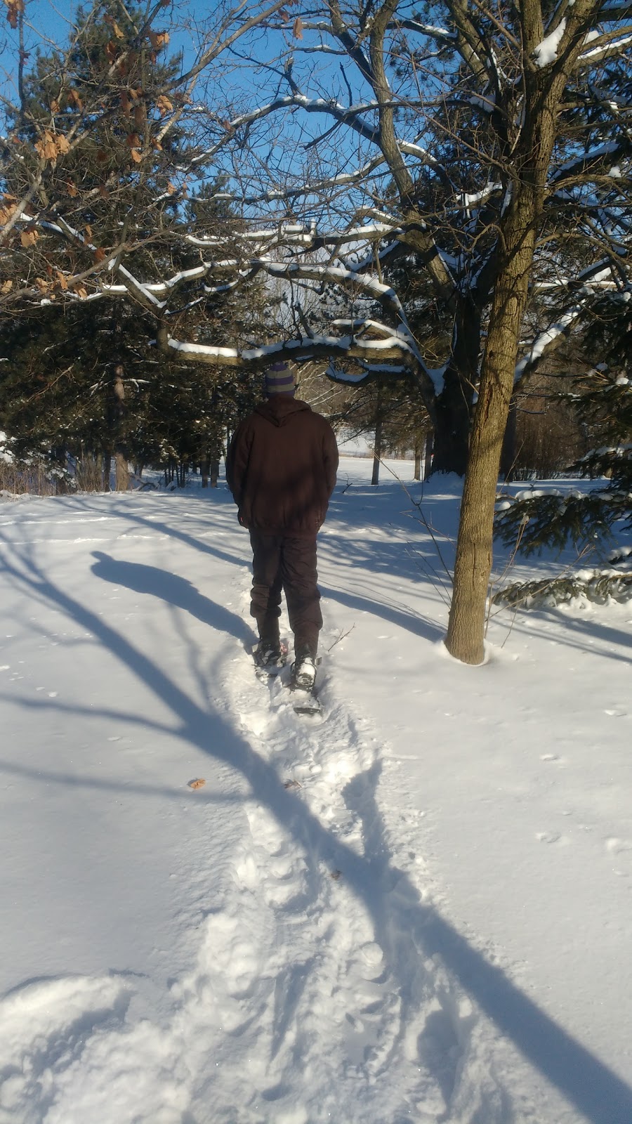 A.W. Campbell Conservation Area | Alvinston, ON N0N 1A0, Canada | Phone: (519) 847-5357