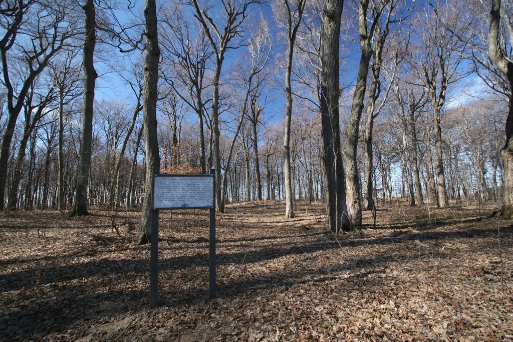 Jackson-Gunn Old Growth Forest | 720-878 Lower Sideroad, Langton, ON N0E 1G0, Canada | Phone: (519) 586-8309