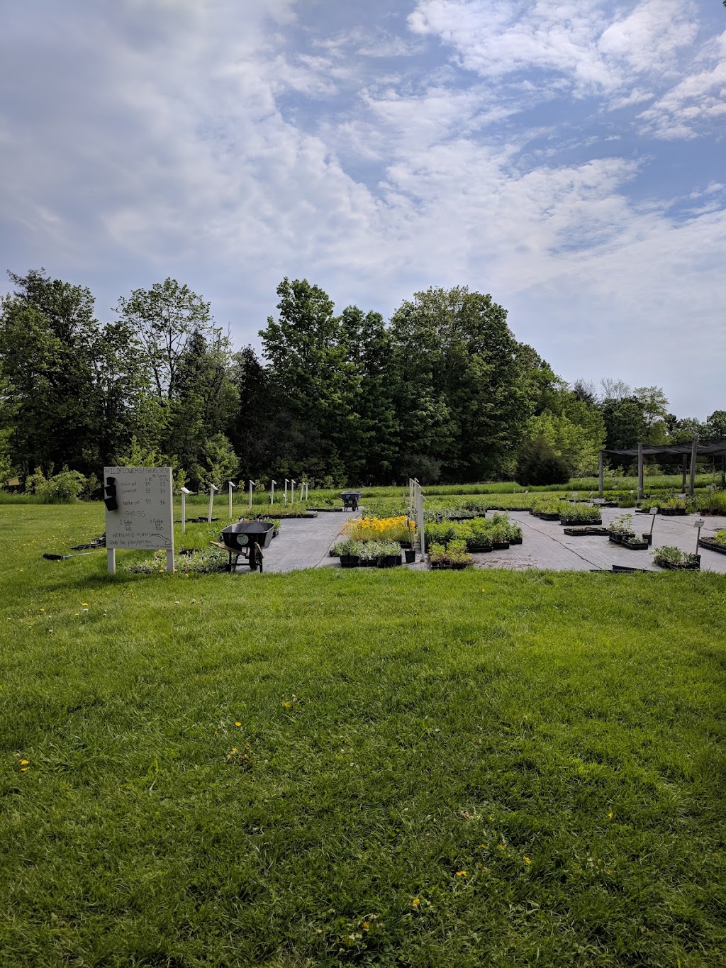 Native Plants in Claremont | 4965 Westney Rd N, Claremont, ON L1Y 1A2, Canada | Phone: (416) 888-3363