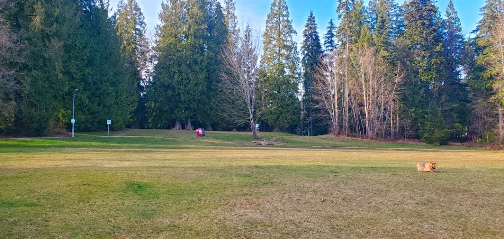 Chelsea Park Off-leash Dog Area | 1277 Chelsea Ave, Port Coquitlam, BC V3B 7J9, Canada | Phone: (604) 927-5496