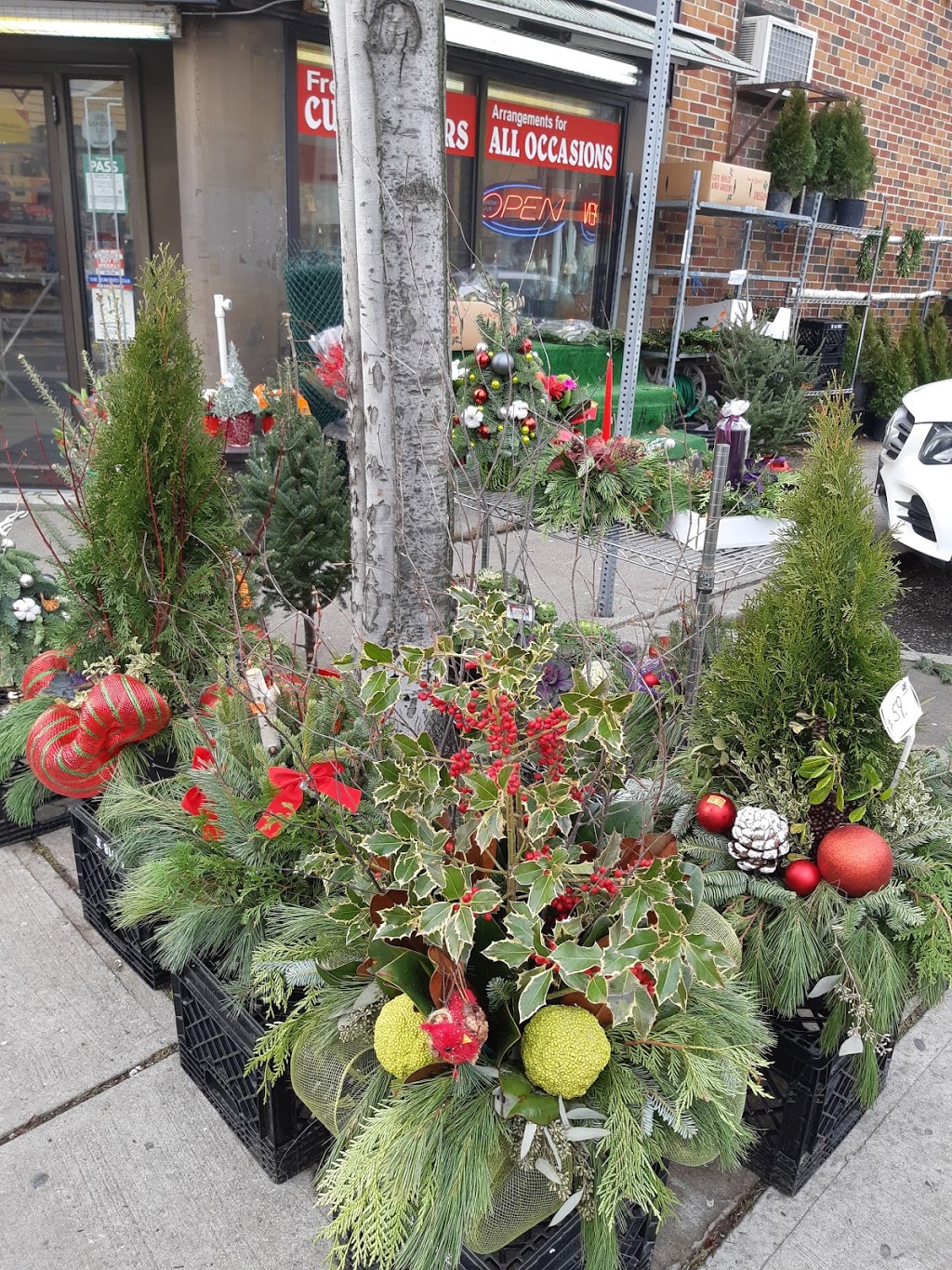 Kingsway Variety | 2992 Bloor St W, Etobicoke, ON M8X 1C2, Canada | Phone: (416) 233-2195