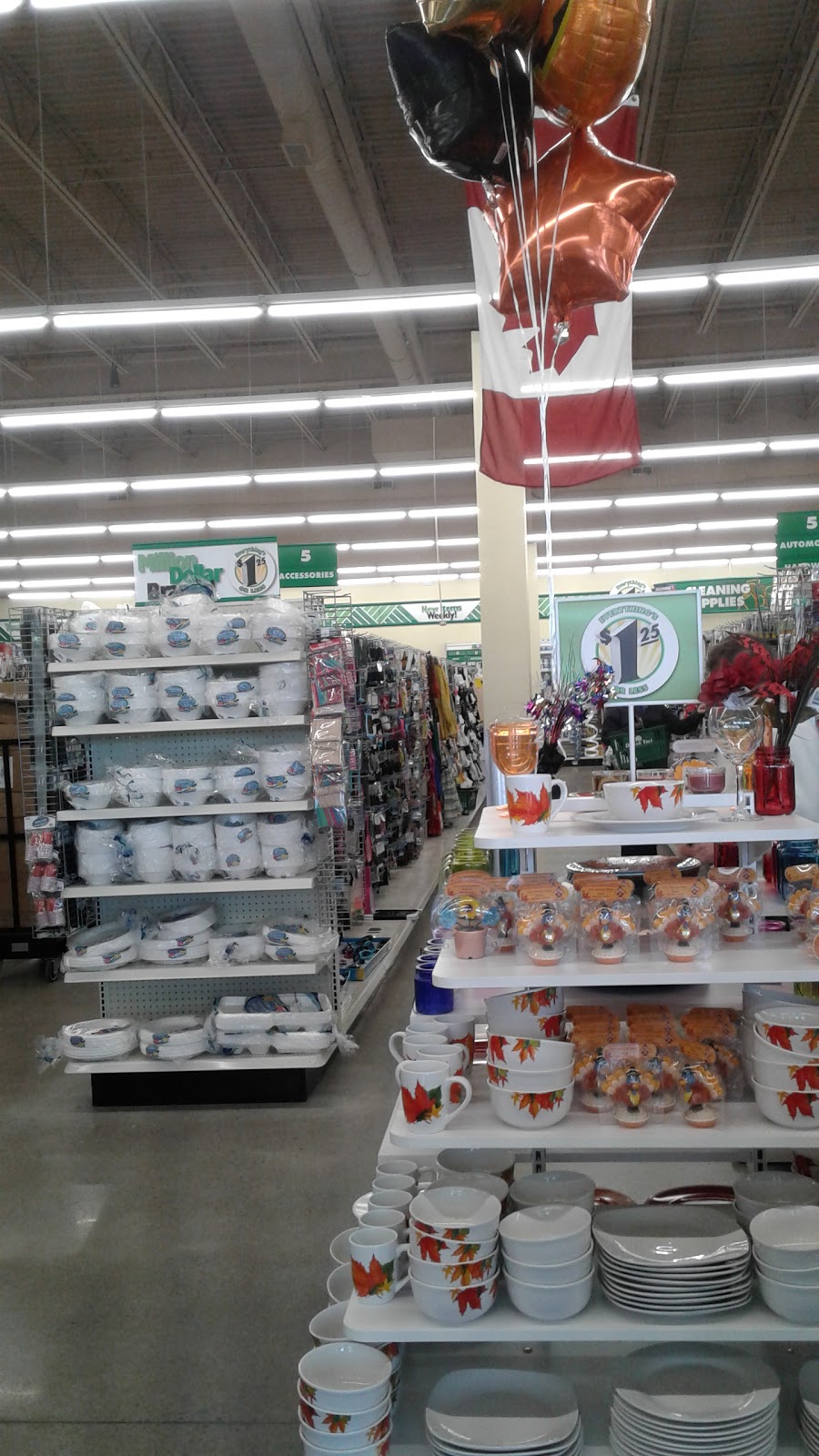 Dollar Tree | 1154 Chemong Rd n3, Peterborough, ON K9H 7J6, Canada | Phone: (705) 876-0056
