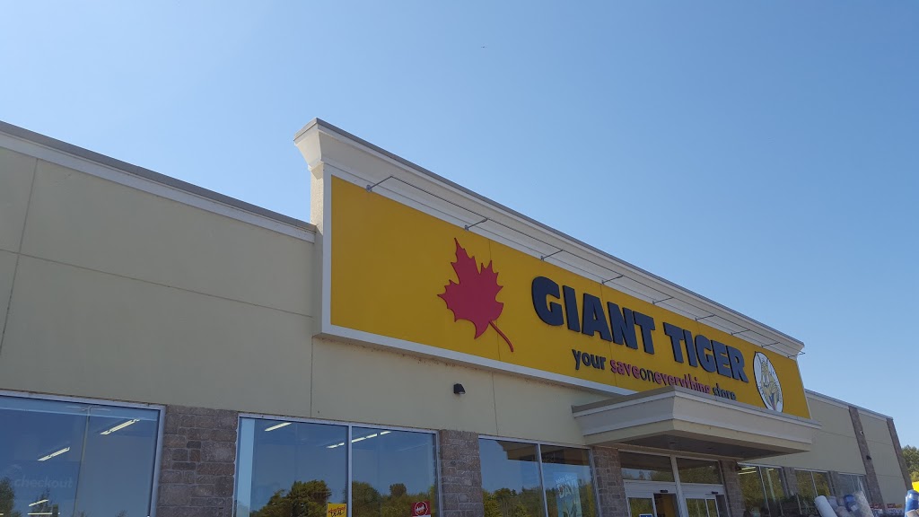 Giant Tiger | 2657 Lakefield Rd, Lakefield, ON K0L 6X5, Canada | Phone: (705) 876-7715