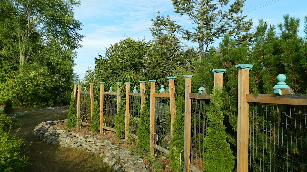 Spindle Tree Manor | 6248 County Rd 4, Tamworth, ON K0K 3G0, Canada | Phone: (613) 388-2232