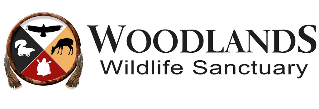 Woodlands Wildlife Sanctuary | 2146 Duck Lake Rd, Minden, ON K0M 2K0, Canada | Phone: (705) 286-1133