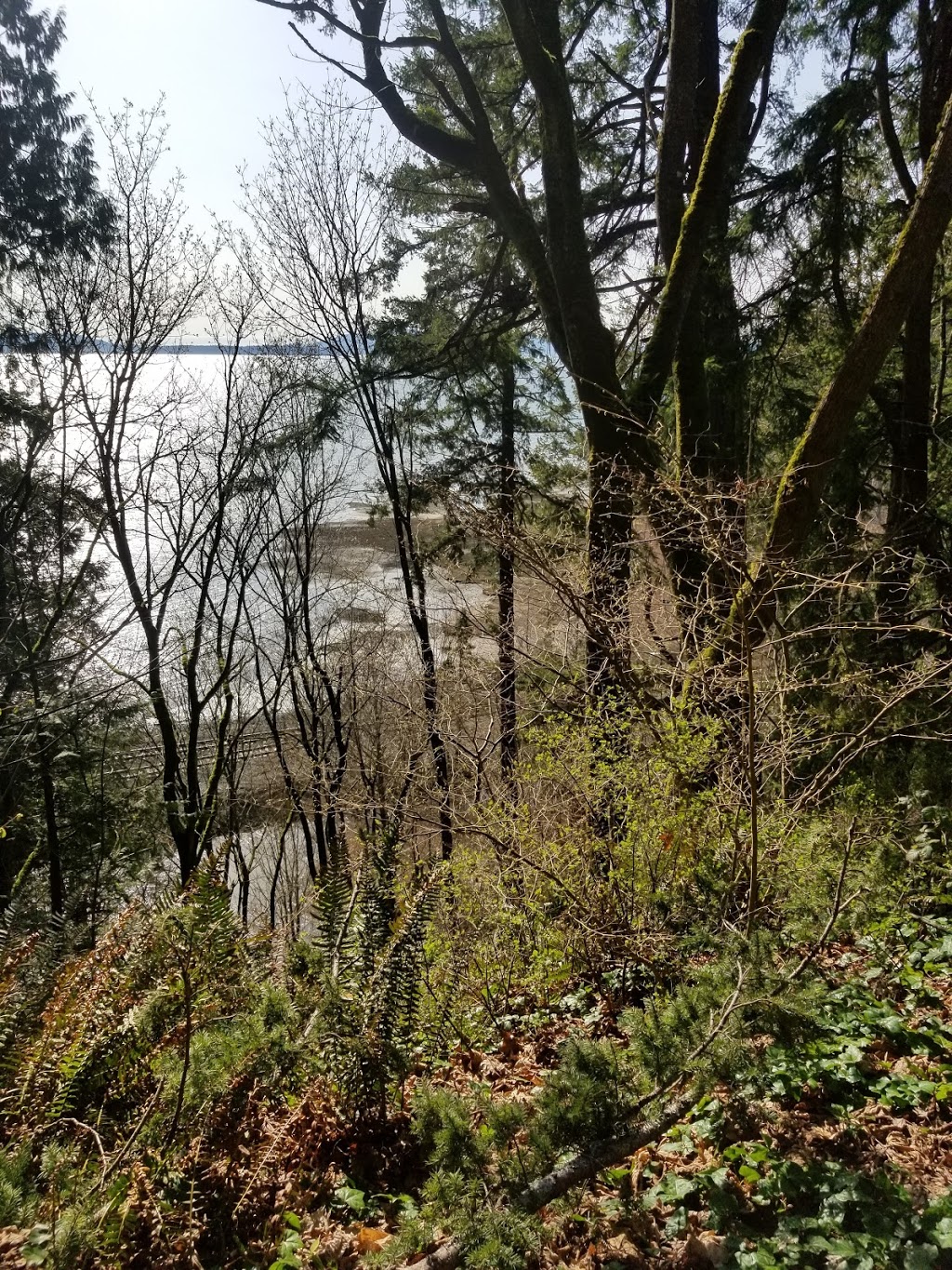 Chuckanut Cabins | 2360 Oyster Creek Ln, Bow, WA 98232, USA | Phone: (360) 755-0888
