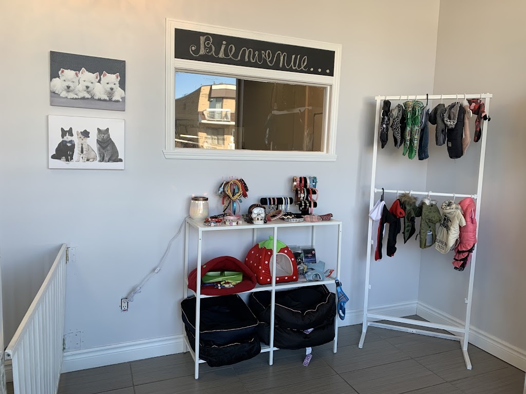 Spa si Bête | 440 Bd Ivan - Pavlov, Laval, QC H7M 4J5, Canada | Phone: (450) 575-6205