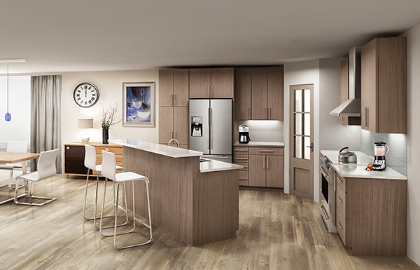 Euro-Rite Cabinets Ltd Pitt Meadows | 19100 Airport Way #212, Pitt Meadows, BC V3Y 0E2, Canada | Phone: (604) 464-5060