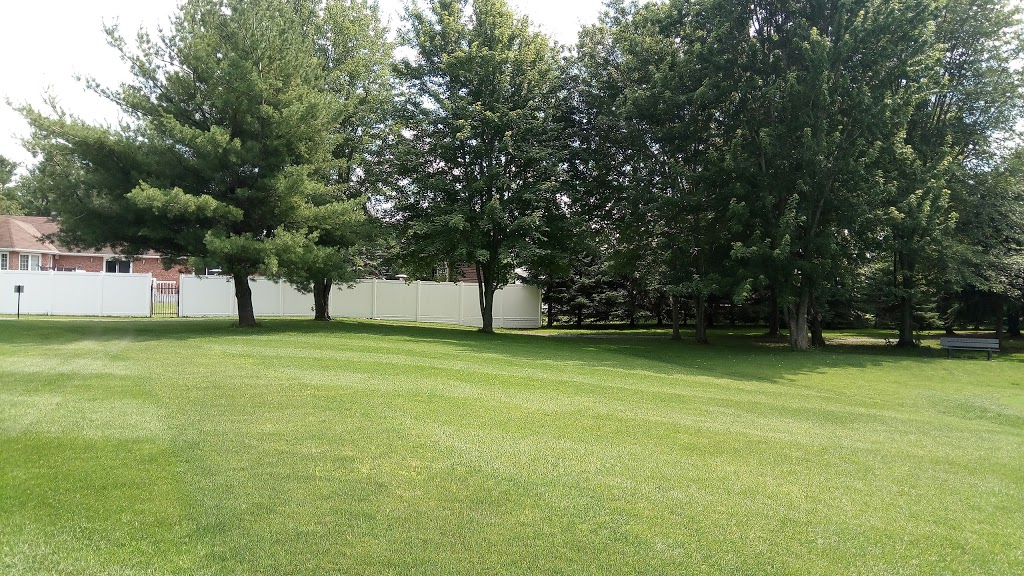 Klodan Golf Carts Sales & Rentals | 844 Aurele Rd, Casselman, ON K0A 1M0, Canada | Phone: (613) 325-7608