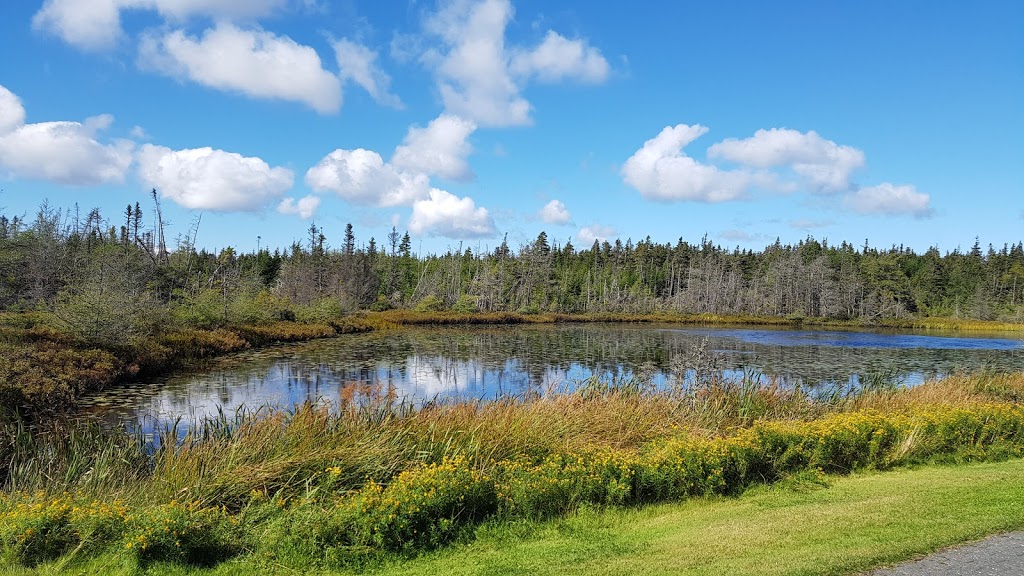 Clovelly | 100 Golf Course Rd, St. Johns, NL A1A 0A6, Canada | Phone: (709) 722-7170