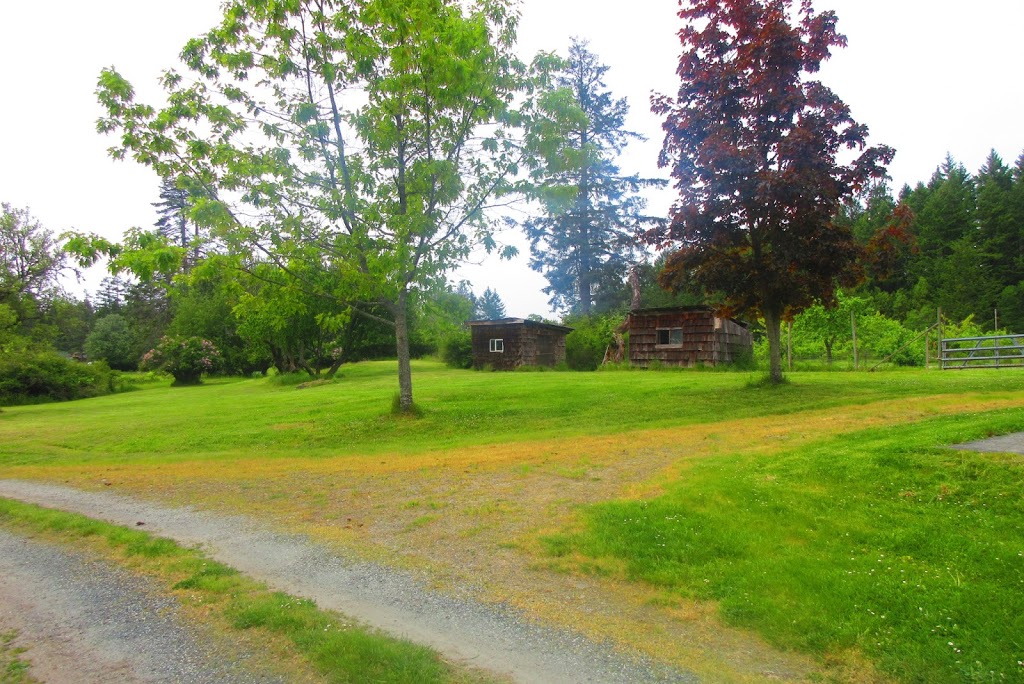 Judy Weeden Studio | 125 Primrose Ln, Salt Spring Island, BC V8K 1C1, Canada | Phone: (250) 537-5403