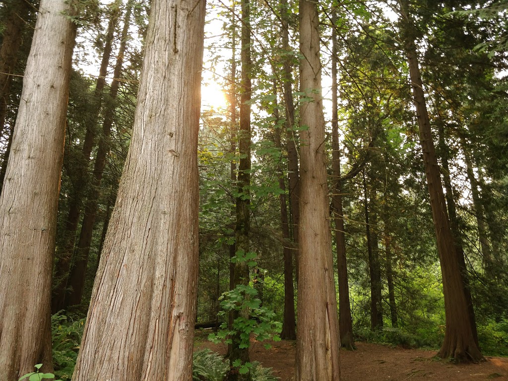 Albion Park | Maple Ridge, BC V2W, Canada