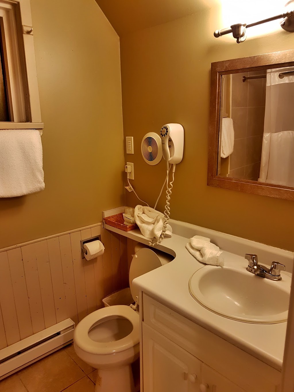 Swiss Chalets Motel | 456 Trans-Canada Hwy, Hope, BC V0X 1L0, Canada | Phone: (604) 869-9020