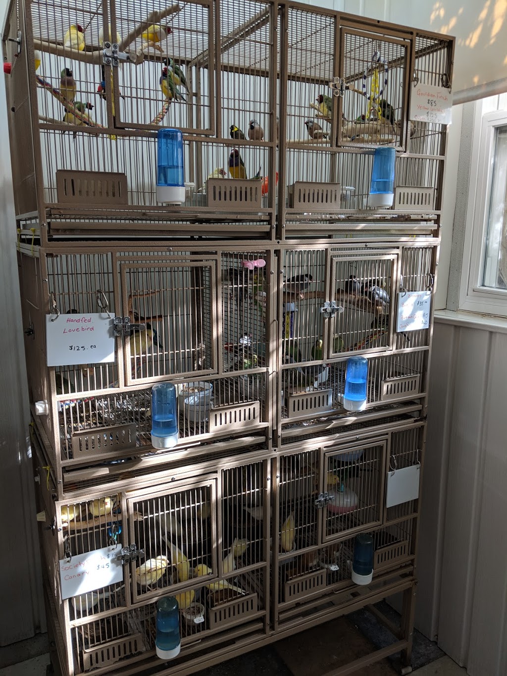 Exotic Wings & Pet Things | 3561 Lobsinger Line, St. Clements, ON N0B 2M0, Canada | Phone: (888) 276-0031