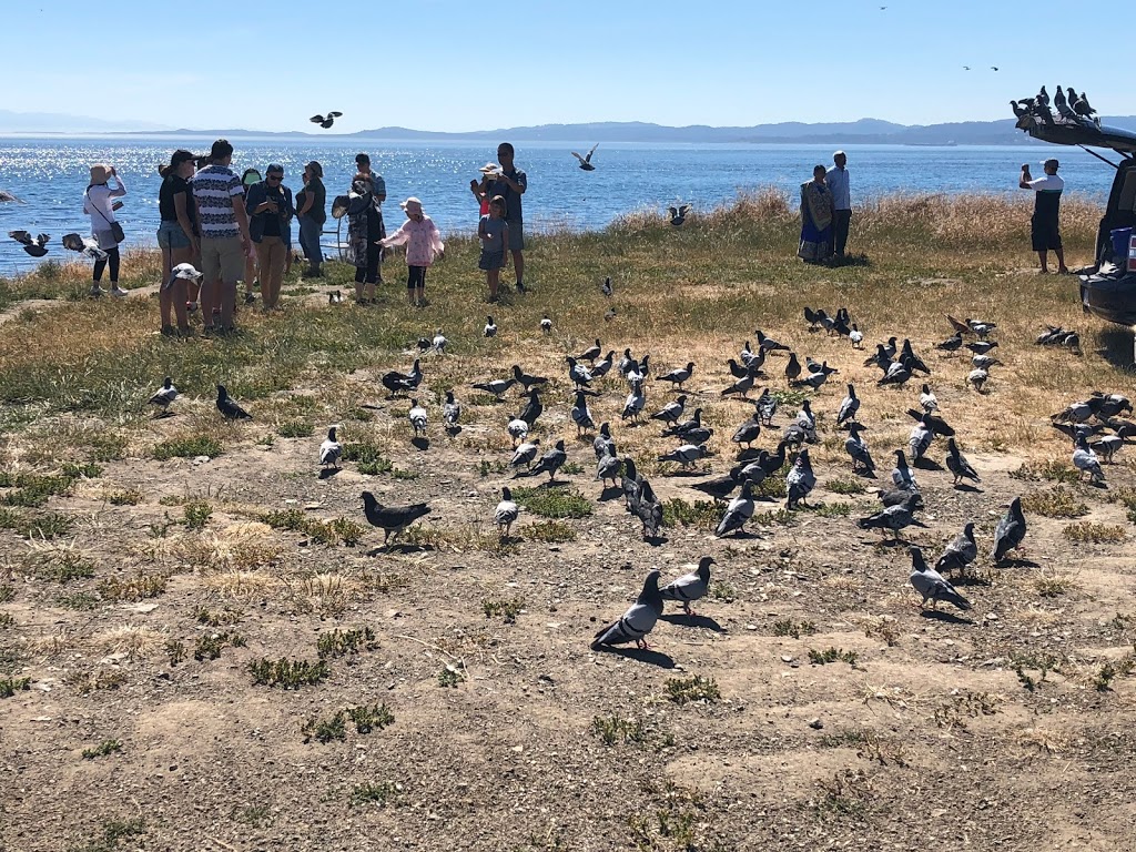 Clover Point Park | 1303 Clover Point, Victoria, BC V8S 1A1, Canada | Phone: (250) 361-0500
